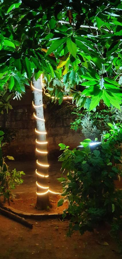 Oonjal Veedu Apartment Kuttalam  Luaran gambar
